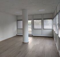 1 Zimmer Apartment, frisch renoviert, hell - Grana