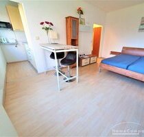 Möbliert 1-Zimmer Apartment in Dresden-Kleinpestitz