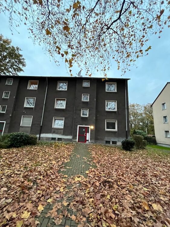 Schöne 1-Zimmer Wohnung an Selbstgestalter zu vermieten - inkl. Kaltmietenfreiheit und Gutschein - Duisburg Mittelmeiderich
