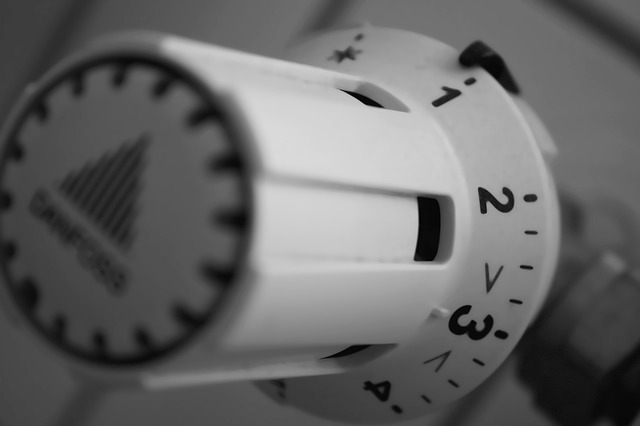 Die besten Tipps zur Gestaltung von WGs mit funktionalen Heizkörperverkleidungen