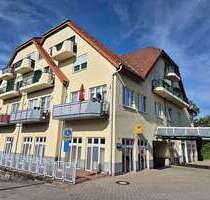 Wohnung zum Mieten in Dresden 315,00 € 31.54 m²