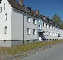 Wohnung zum Mieten in Bielefeld 250,00 € 36.75 m²