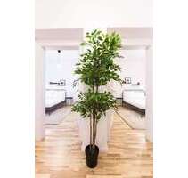 WG-Zimmer in Berlin 1.005,00 € 15 m²