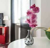 Wohnen auf Zeit in Düsseldorf 1.600,00 €