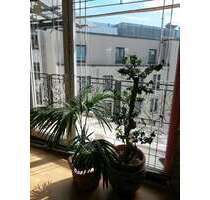 Wohnen auf Zeit in Düsseldorf 1.885,00 €