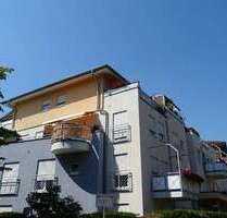 Wohnen auf Zeit in Dresden 1.295,00 €