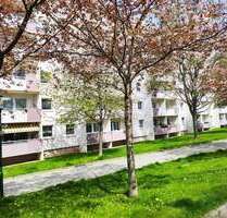 Wohnung zum Mieten in Chemnitz 236,00 € 56.29 m²