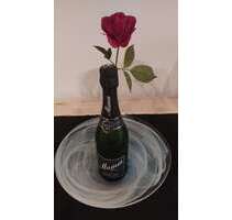 Wohnen auf Zeit in Mannheim 1.790,00 €