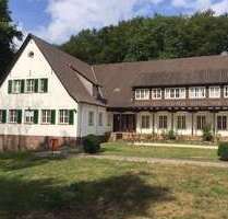 Wohnen auf Zeit in Lübbecke 350,00 €