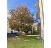 Wohnung zum Mieten in Radebeul 410,00 € 47.44 m²