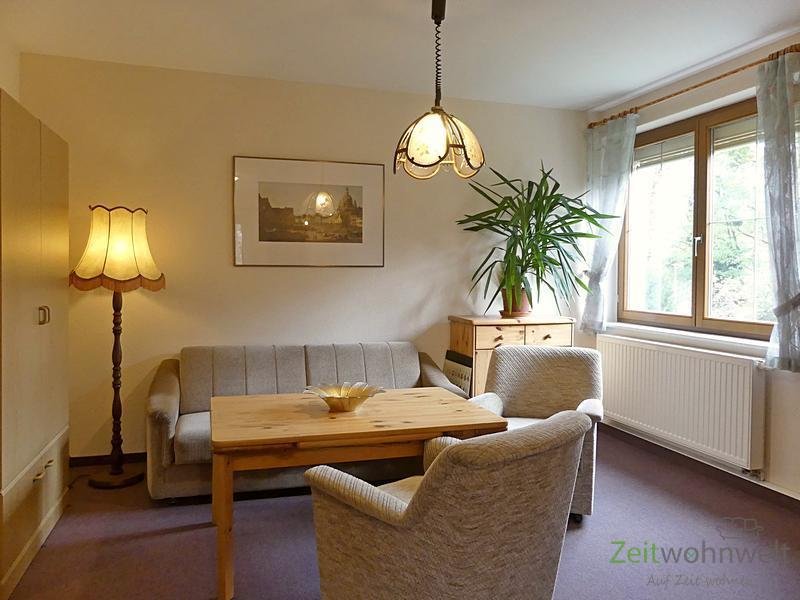 (EF0584_M) Dresden: Blasewitz, möblierte 1,5-Zimmer Wohnung zwischen Waldpark und Elbe