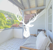 Schöne 3 Zimmer Wohnung mit Balkon in bester Lage von Tiengen zu vermieten - Waldshut-Tiengen