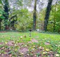 Fürth-Praterweiher ! Gepflegte helle 3 Zi.-Whg. 71 qm, Balkon mit Blick ins Grüne, Einbauküche