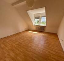 Großzügige DG-Wohnung mit EBK in top Lage - Mannheim-Wohlgelegen Neckarstadt