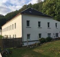 Großzügige 3-Zimmer mit eigenem Garten, EBK, Laminat, Stellplatz, Dusche am Wald! - Chemnitz Einsiedel