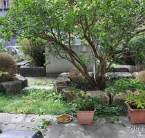 Erdgeschoß, 3 Zimmer, traumhafte Terrasse inklusive. - Nürnberg Maxfeld