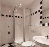 2 Zimmer in Plauen Haselbrunn mit Balkon - modernes Bad mit Dusche