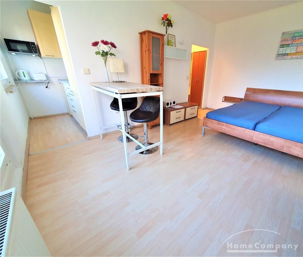 Möbliert 1-Zimmer Apartment in Dresden-Kleinpestitz