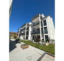 Wohnen am Stadtgarten - moderne 4 Zimmer Wohnung - KfW 55 - Böblingen