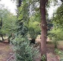 Schöne 3 Zimmer Dachgeschosswohnung mit Balkon und kleinem Gartenanteil - Köln Dellbrück