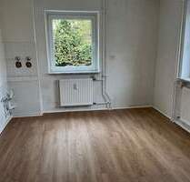 Schöne 2-Zimmer Wohnung mit neuen Bodenbelägen zu vermieten - Gelnhausen