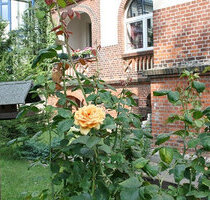 Sanierte 2 Zimmer Wohnung in Zentraler Lage von Stadtfeld - Magdeburg Stadtfeld West
