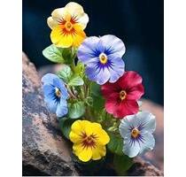 3 Raum 85m³ in Freiberg, eig.Garten, Badewanne. - Freital