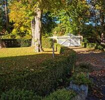 1 Zimmer Apartment im Schloss Massenbach , ab 01.01.2026 - Schwaigern