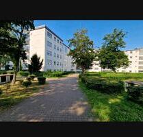 Vollständig renovierte 2 Zimmer Wohnung in Bergheim Zieverich