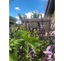 Gemütliche 2 Zimmer DG Wohnung mit Balkon - Neu-Ulm Burlafingen