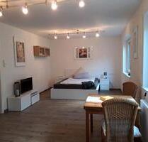 1 Zimmer Apartment z. Kurzzeitmiete (1-6Monate) voll ausgestattet - Tübingen Lustnau