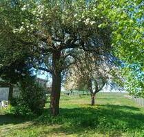 Helles Zimmer auf Fachwerkhof - 300,00 EUR Kaltmiete, ca.  35,00 m² in Lauterbach (Hessen) (PLZ: 36341)