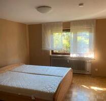 Helle und große 6 Zimmer Wohnung mit großer Garage. - Durchhausen