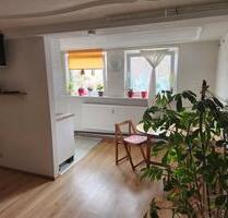 Ein-Zimmer Appartement - sofort - befristet 1,5 Jahre - Konstanz Dettingen-Wallhausen