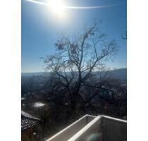 2,5 Zimmer DG Wohnung zu vermieten - Esslingen am Neckar