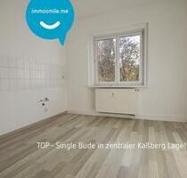 1-Raum Apartment • Laminat • Tageslichtbad mit Dusche • Stellplatz • Kaßberg • Anschauen & Mieten - Chemnitz Kapellenberg