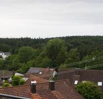 1,5 Zimmer Appartment in Althütte