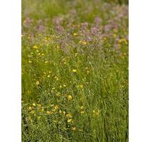 4 Zimmer Wohnung zzgl. Hobbyraum - neuwertig - Hersbruck