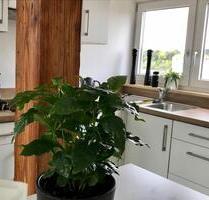 1 Zimmer Wohnung DG Altbau kernsaniert mit Garten Innenstadtnah - Passau Mühltal