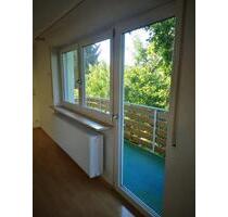 3 Zimmer Wohnung EG in Burghaslach