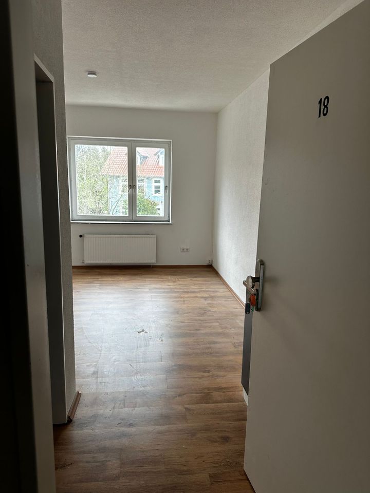 kernsaniertes 1 Zimmer Apartment mit Küche in Clausthal - Clausthal-Zellerfeld