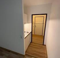 Zwei renovierte 1-Zimmer Wohnungen in der Groner Landstraße 9 - Göttingen Oststadt