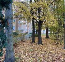 Nürnberg 90480. 1 Zimmer Wohnung 31 m. Ab Sofort.