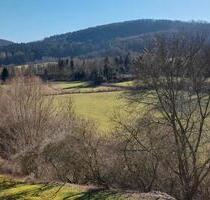 Ruhige 1,5 Zimmer Wohnung - 290,00 EUR Kaltmiete, in Bad Driburg (PLZ: 33014)