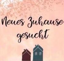 3 Zimmer in OHZ oder Umgebung. - 800,00 EUR Kaltmiete, ca.  75,00 m² in Osterholz-Scharmbeck (PLZ: 27711)