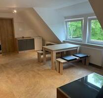 Vollmöbliertes 1-Zimmer Apartment mit KücheBad TVWiFi - Wolfsburg Alt-Wolfsburg