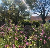 Wohnprojekt Familien-WG Gemeinschaft im Unterallgäu - Markt Wald