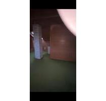 1 zimmer DG wohnung - 750,00 EUR Kaltmiete, in Uhingen (PLZ: 73066)