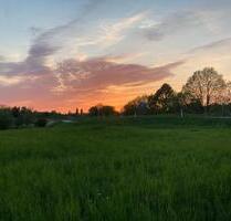 WG Zimmer Loft Terrasse - 800,00 EUR Kaltmiete, in Hamburg (PLZ: 21079) Harburg