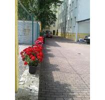 Helle 2 Zimmer Wohnung 43m² courtagefrei***Uni-Nähe - Halle (Saale) Büschdorf